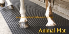 Animal Mat | Farm Mat