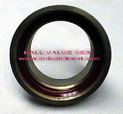 Ball Valve Seal
