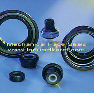 Mechanical Face Seal