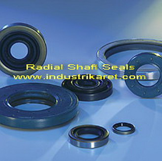 Radial Saft Seal