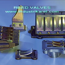 Reed Valves